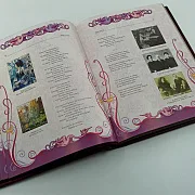 Книга "Серебряный Век Русской поэзии " — фотография 3